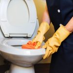 Maid Cleaning Toilet Bowl